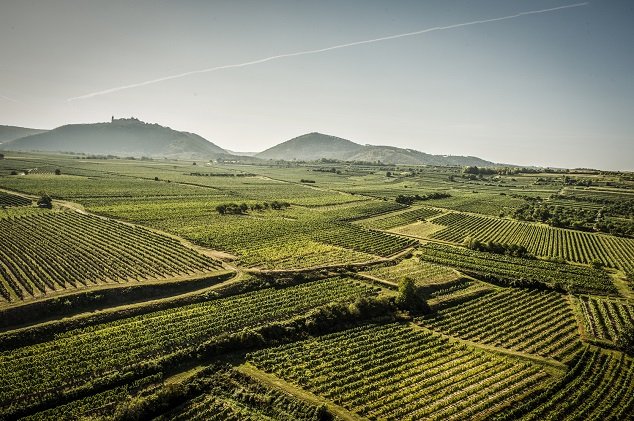 Kremstal: Stále ambicióznější soused Wachau