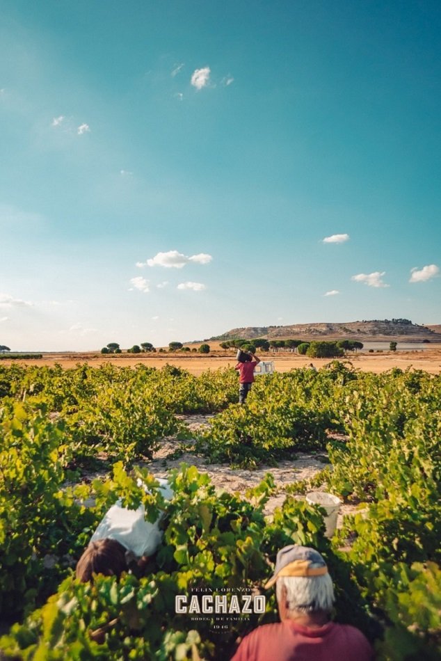 Rueda: Bílý ostrov v moři španělských červených vín