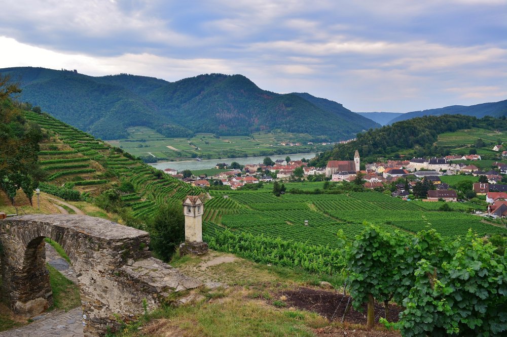 Degustace: Veltlíny a Chardonnay